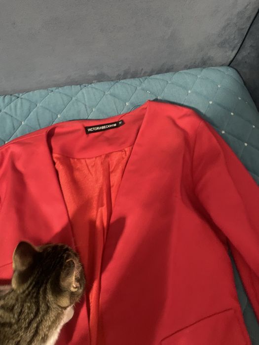 Кастюм брюки