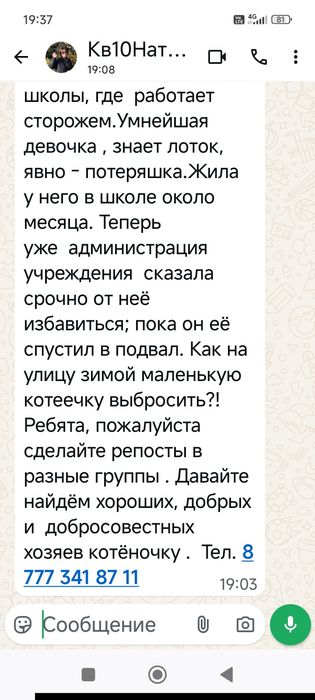 Котенок девочка в добрые руки!