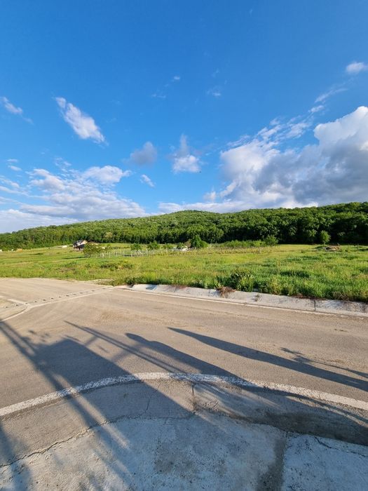 Vand teren Intravilan Tomesti Chicerea. 2 parcele utilitati in zona