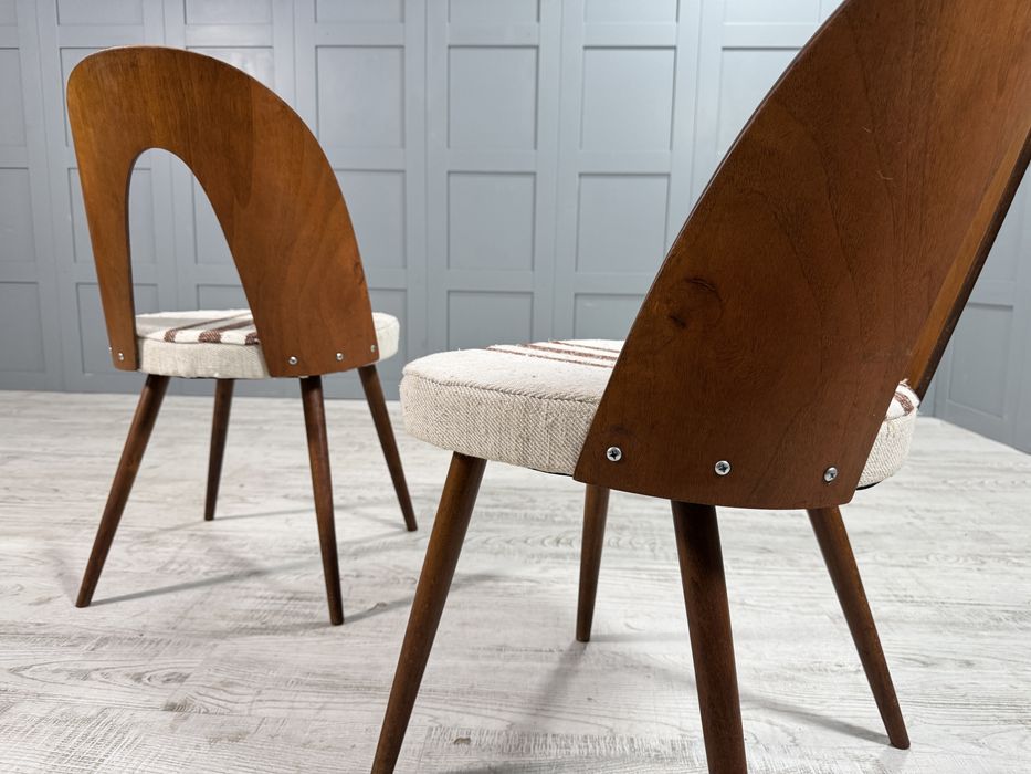 Трапезни столове на Антонин Шуман от 50-те У014