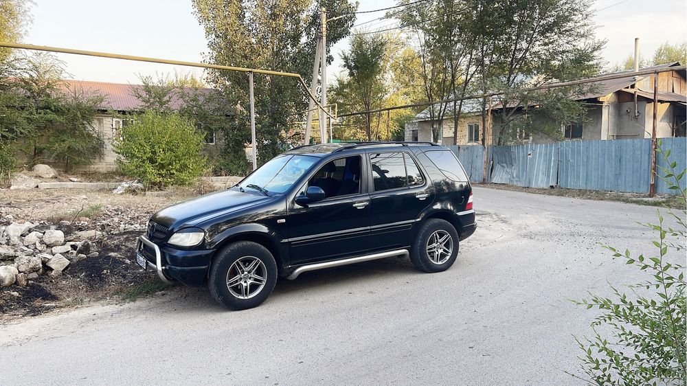 Кенгурятник w163