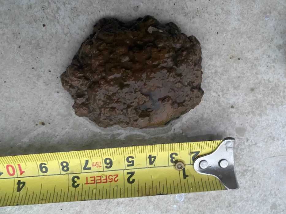 Thunderegg Oregon SUA 3 agate