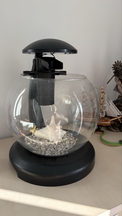 De vanzare Acvariu bol Cascade Globe Negru 6,8L cu iluminare LED