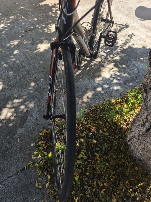 Cursiera GT 2014