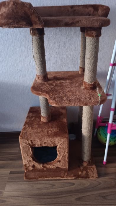 Продам котенка 4месяца