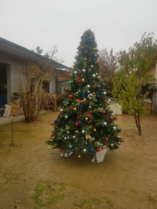 Новогодняя Ёлка.