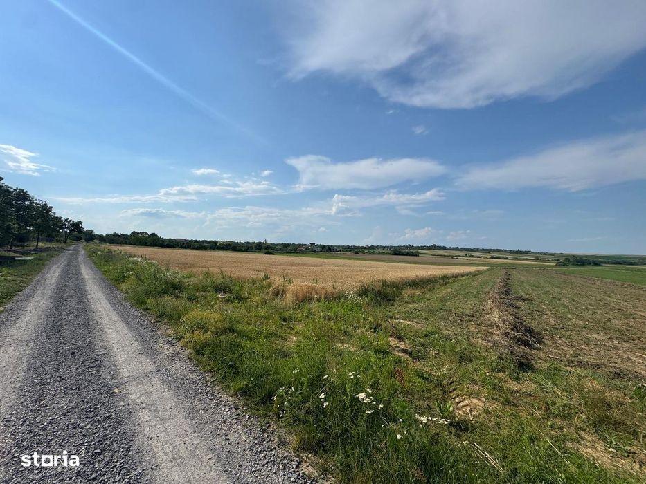 Teren intravilan de vanzare – Viile Satu Mare