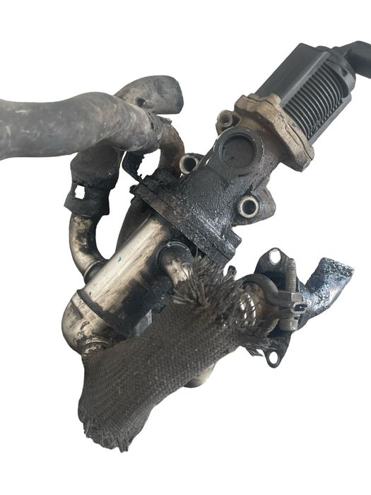 Racitor Gaze + Egr Fiat Grande Punto 199_ 2005 -> 1.3 D Multijet 199 A