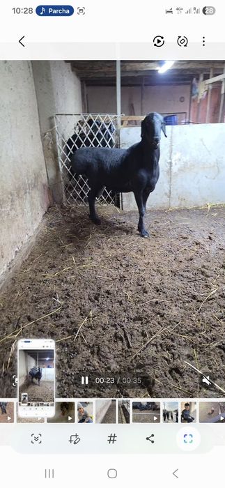 Лумизин линяа 2 г