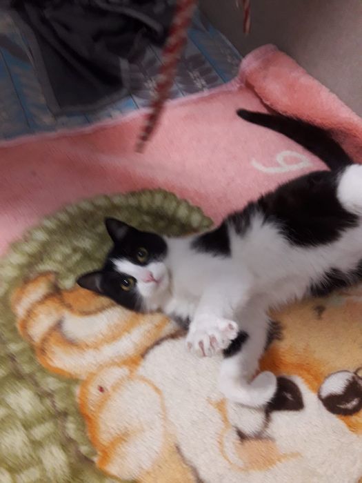 Красавица девочка Лада