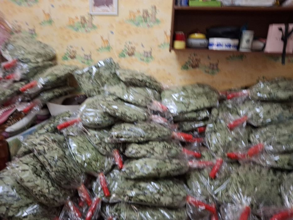 Продам  веник дубовыи