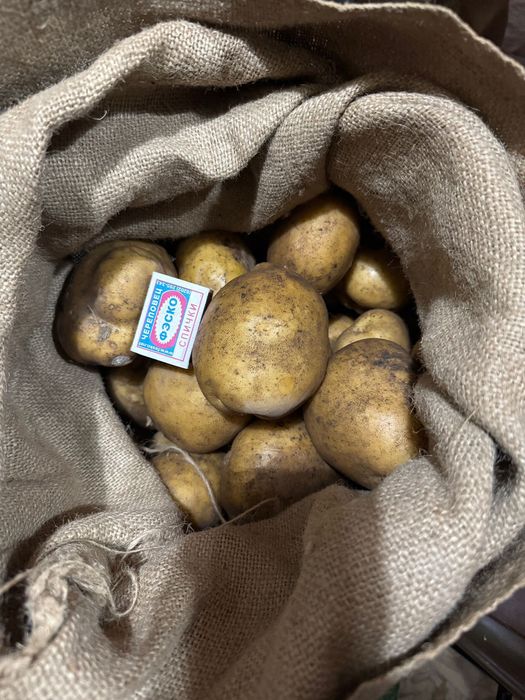 Картошка дачная,отборная
