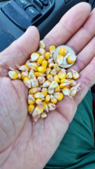 Avem orice fel de cereale