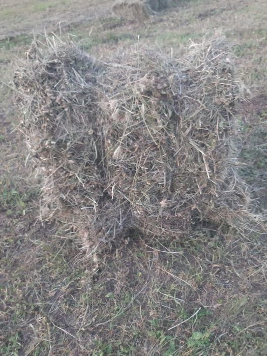 Vând  baloti de fan