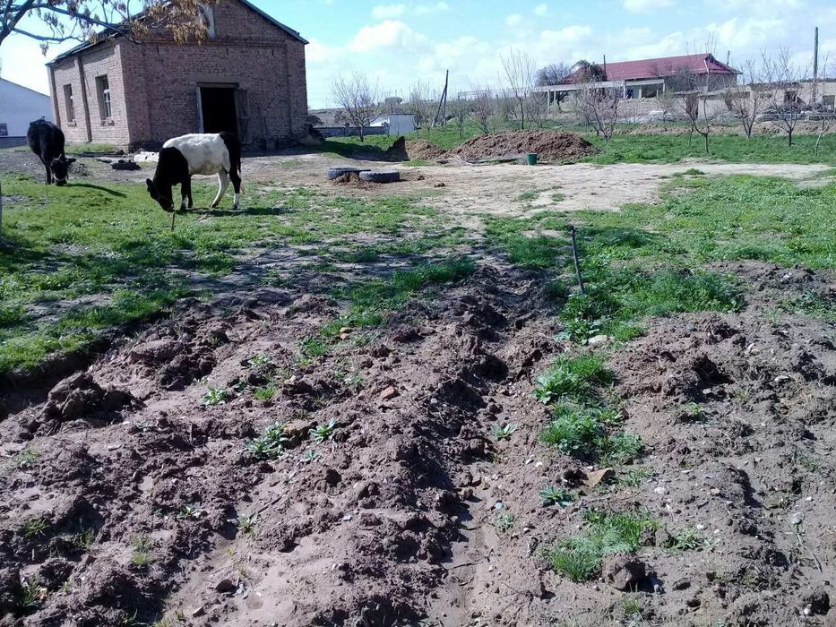 Жой сотилади, бу́линадиган. Нархи келишилади.