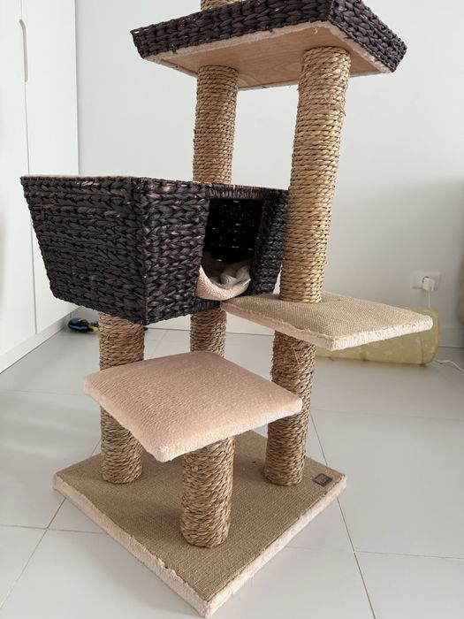 Ansamblu de joaca pisici!