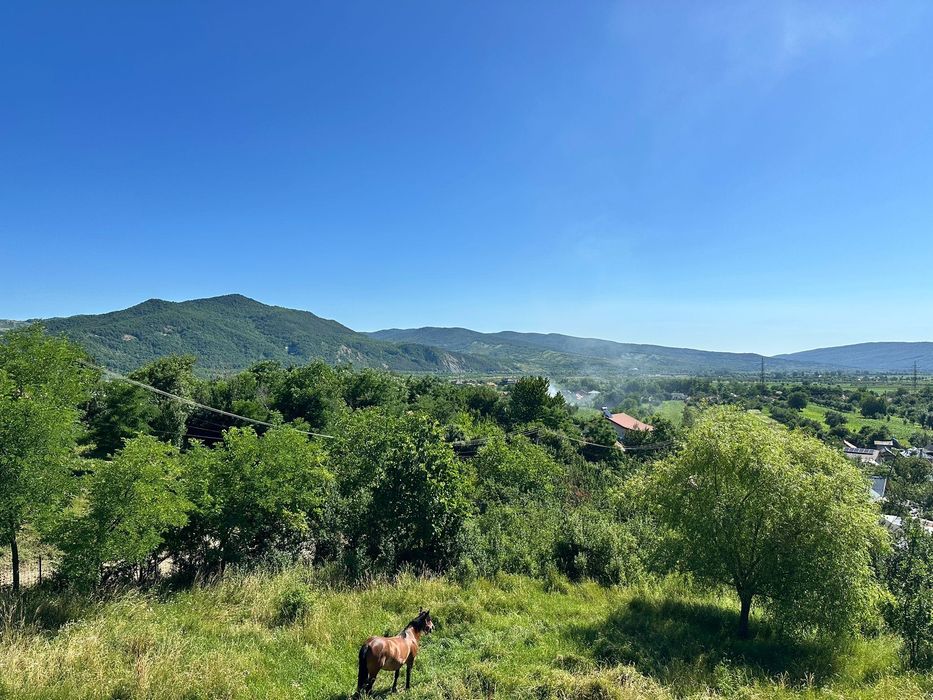 Ofer spre arendă  (închiriere) Teren 5.000 mp – liniște, priveliște deosebită – Cislău, Buzău,  10 euro/lună