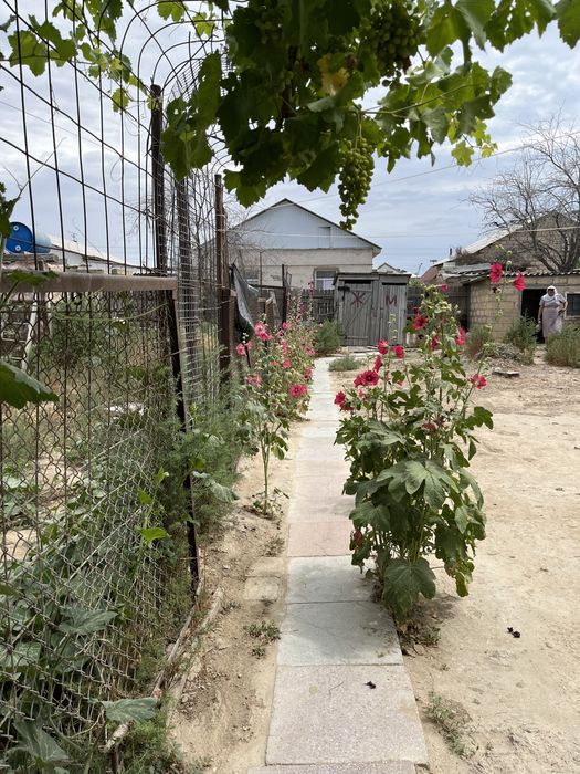 Дача Сот "Химик"