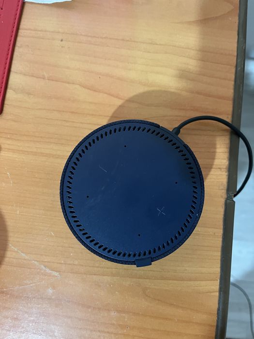 Алиса сатылады новый