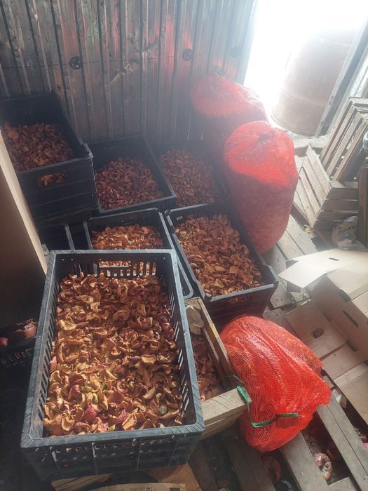 Сухофрукты находимся Есике