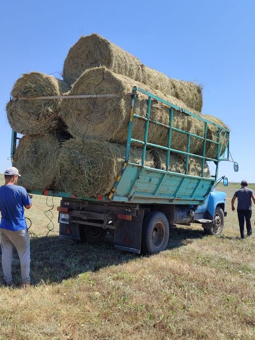 Продажа сено разнотравье