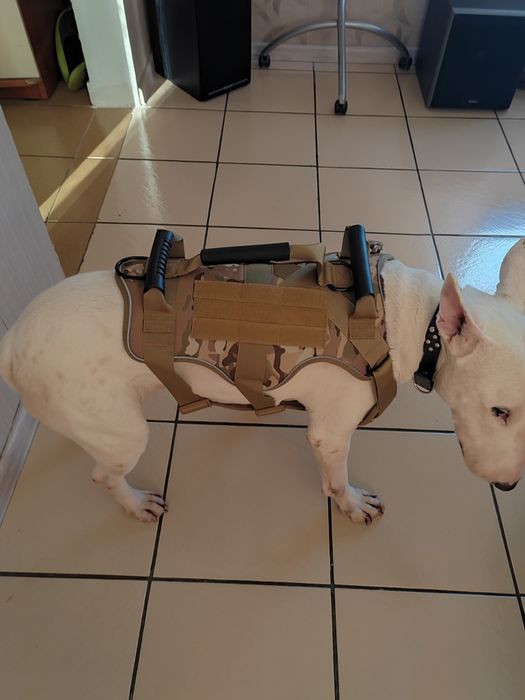 Тактически нагръдник за куче