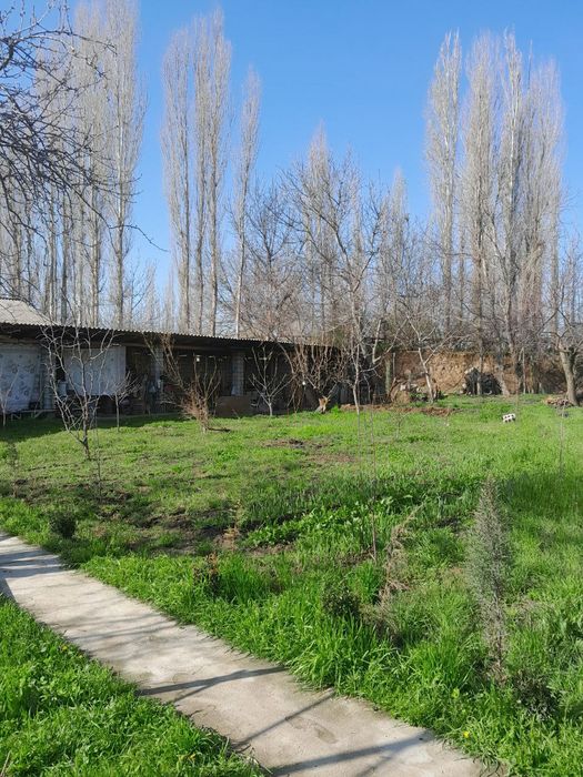 Yer sotiladi 8 sotix