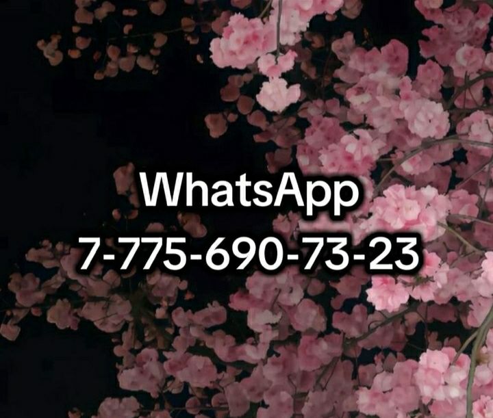 Однакомнатая мкр 11