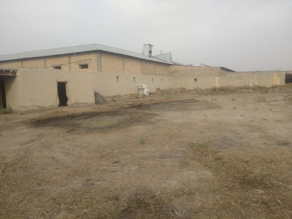 Молхона сотилади