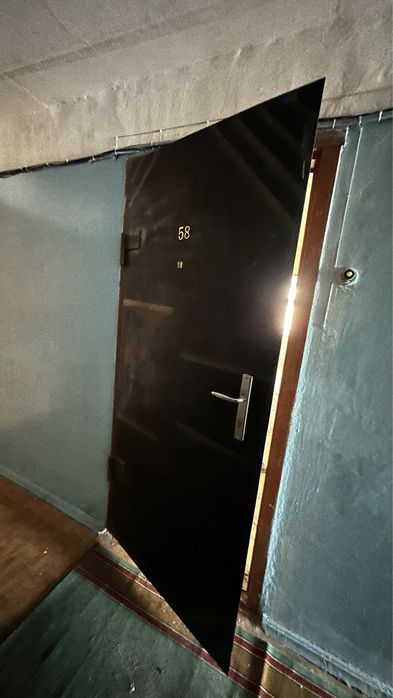 Дверь входная, металлическая