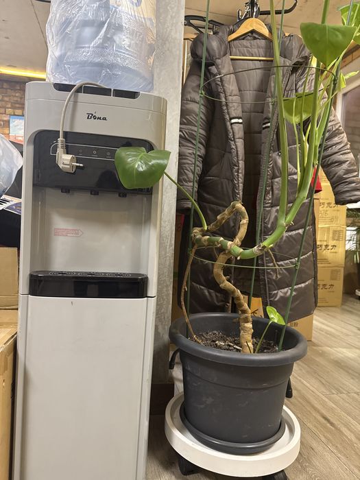 Диспенсер с холодилтником