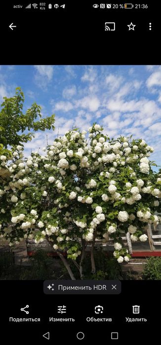 Продам дачу ст Борки, не сносят