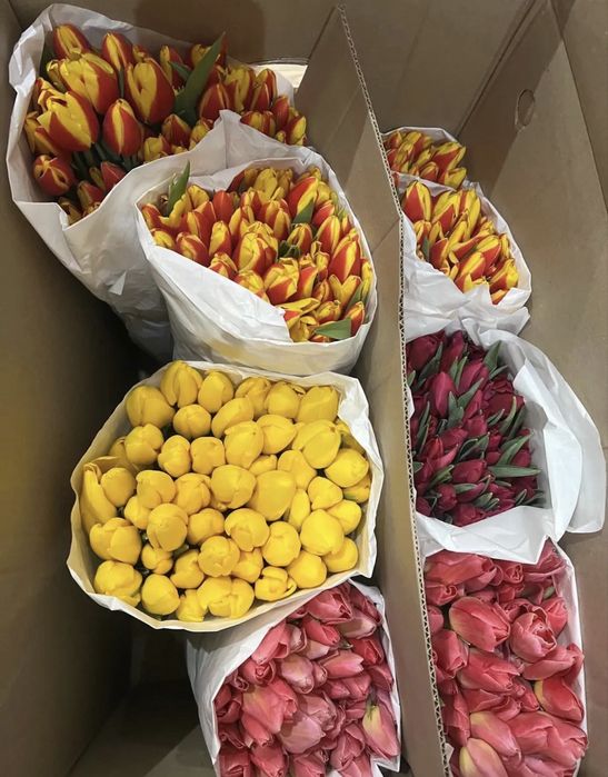 тараз, ваш шанс!!