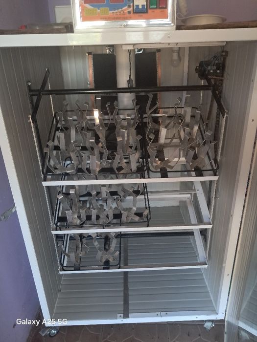 Vând 2 familii de struți producatori