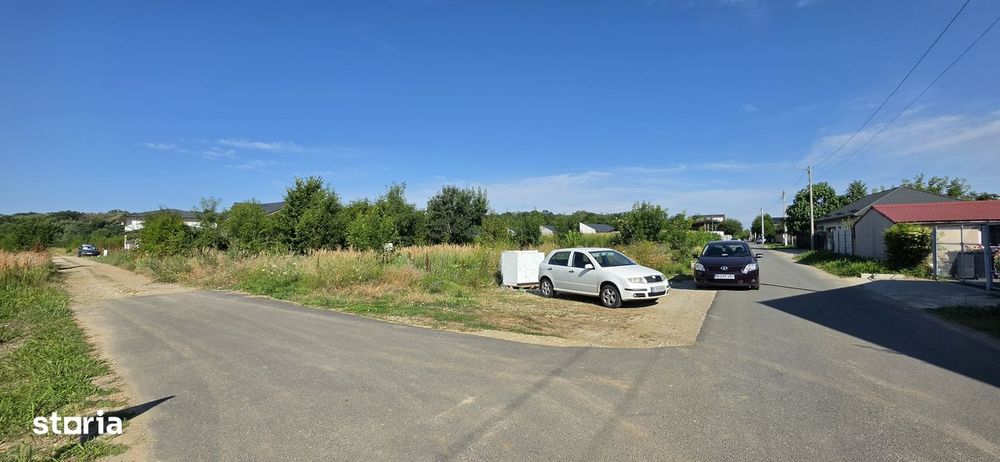 Casă Deosebită pe Structură de Lemn – Domnești Zona Țegheș | padure