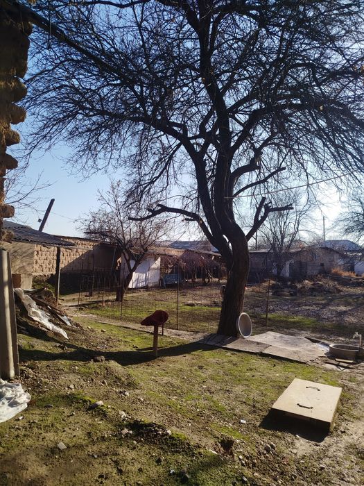 Продам земельный участок