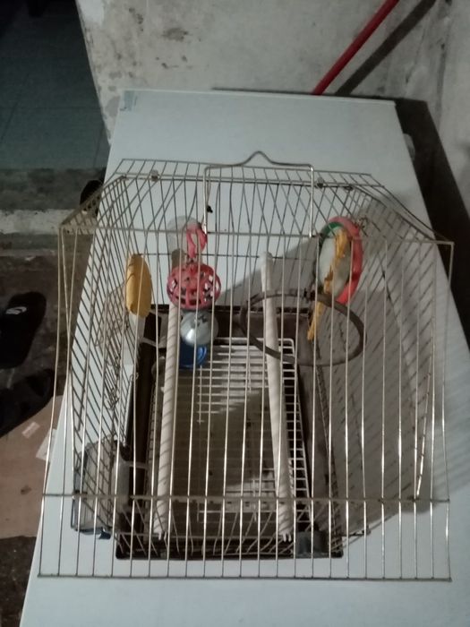 Клетка для попугая и птиц.