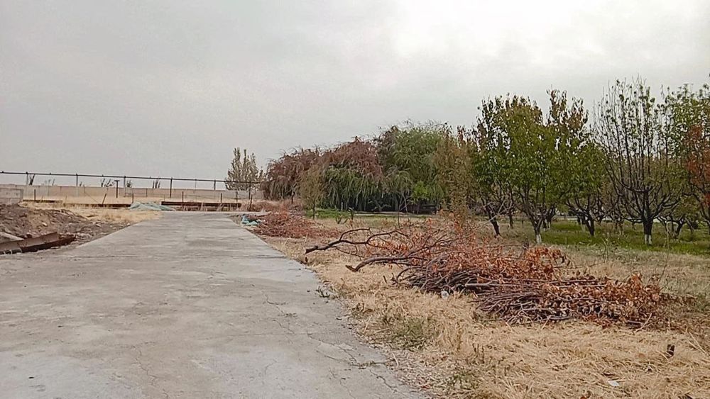 Ферма сотилади 1.27 Гектар Таёр Бизнес