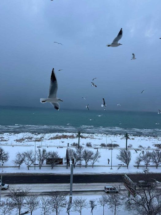 На море посуточно квартира  г. Актау