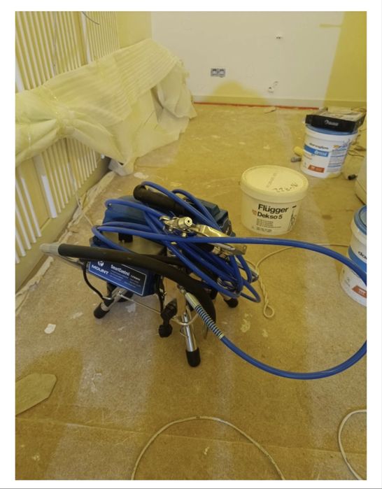 Покраска Крыши , ворот, стены,навес.