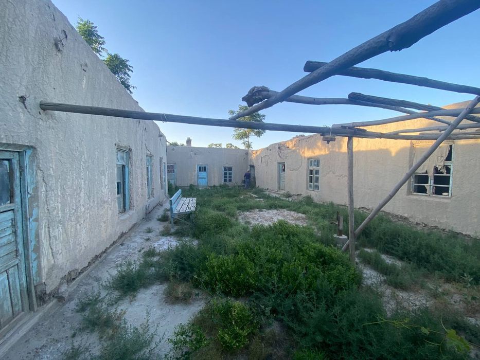 12 soʻtixli uchastka