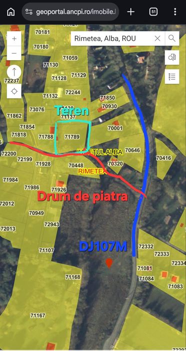 Teren intravilan de vânzare -  Rimetea
