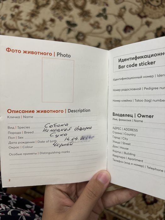 Продам восточно-европейскую овчарку
