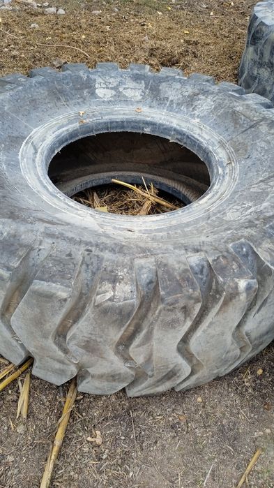 Пагурчикни балони  бор от ва бук,аларга охир сифатида хам болади