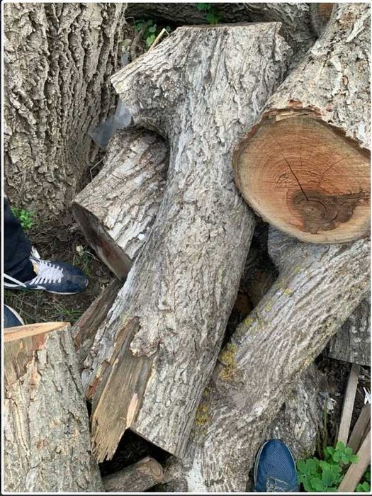 Орехови трупи, дървесина орехов материал