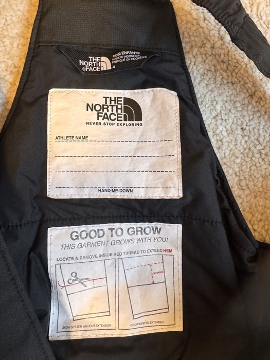 Salopeta zapada / schi The North Face 4 ani