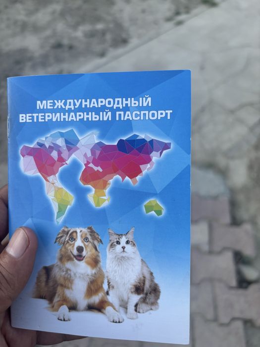 Продам немецкую овчарку