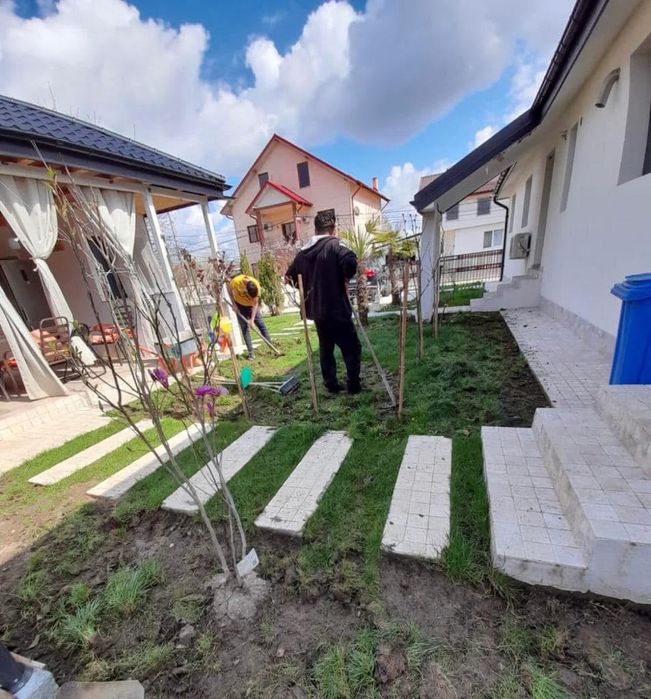 Rulouri de Gazon - Amenajare