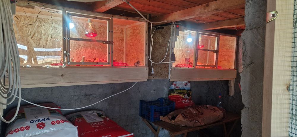 Vând 2 maternitati,  folosite o data .