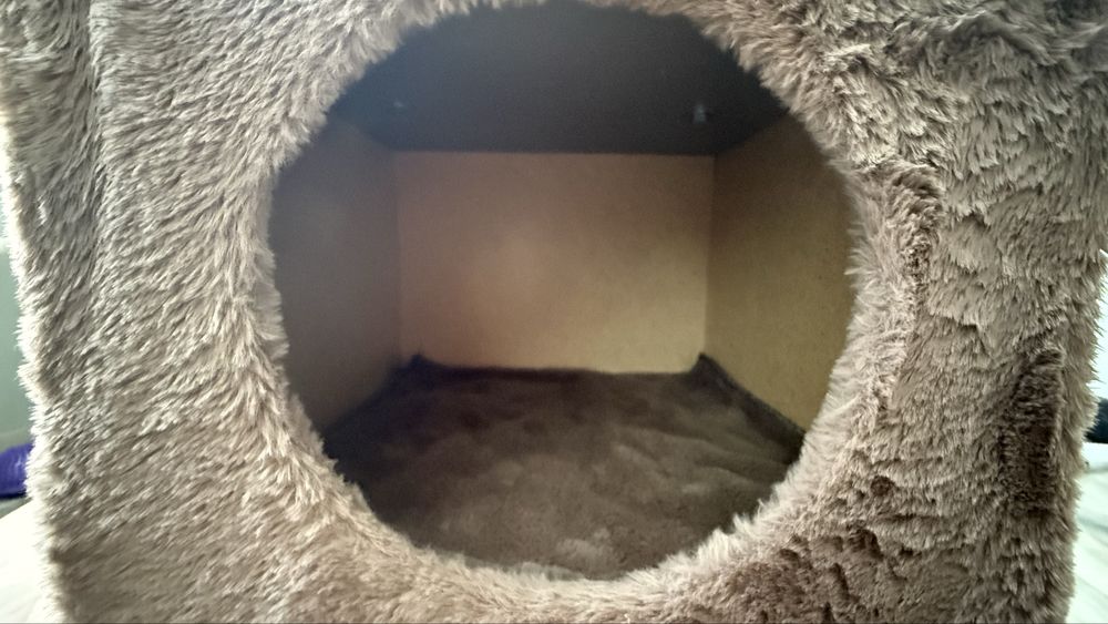 Новый домик для кошки